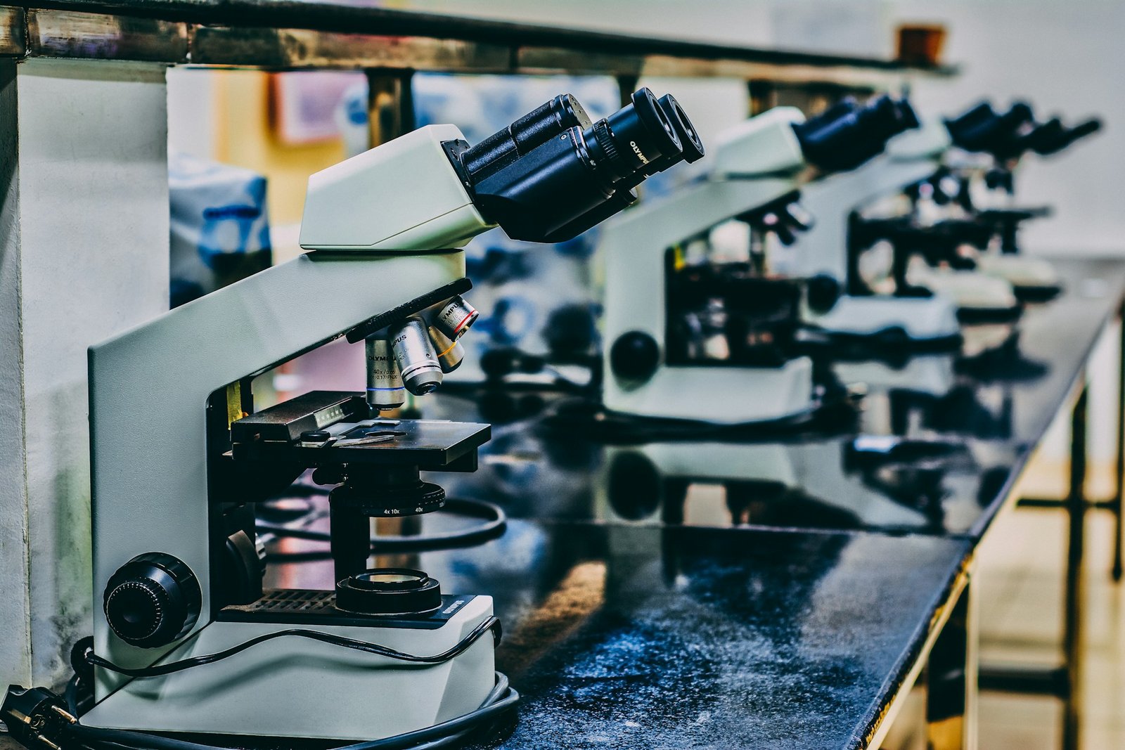 Zeenat Labs